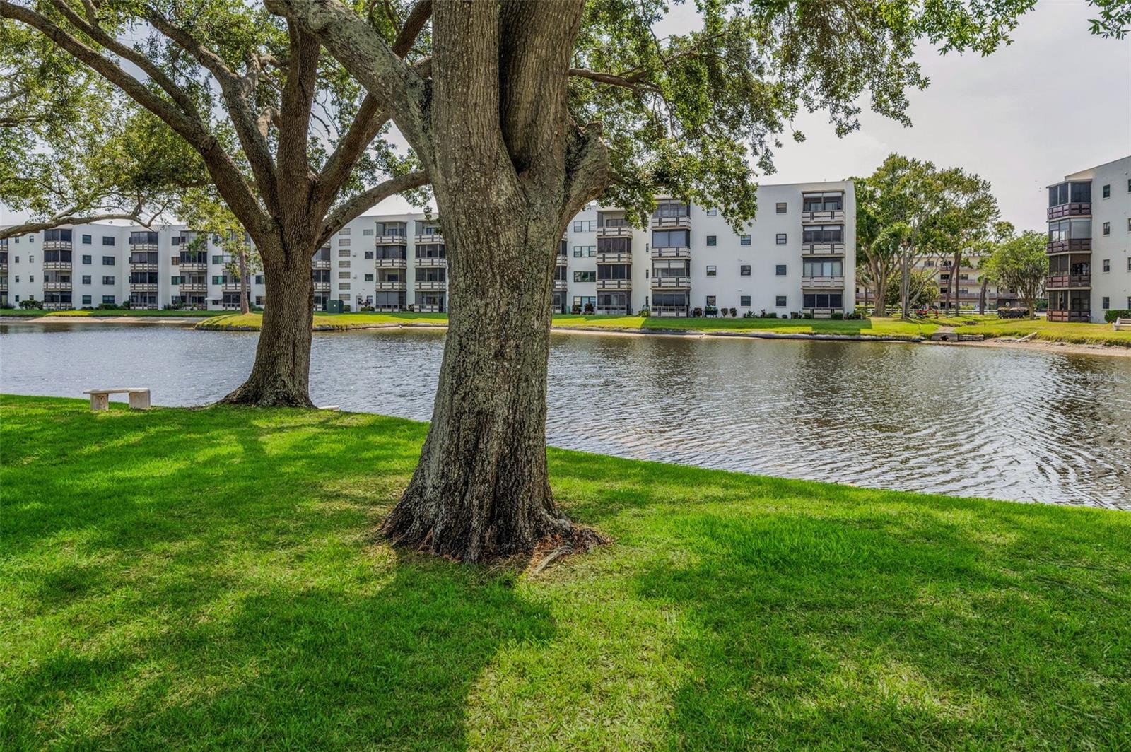 View of the pond