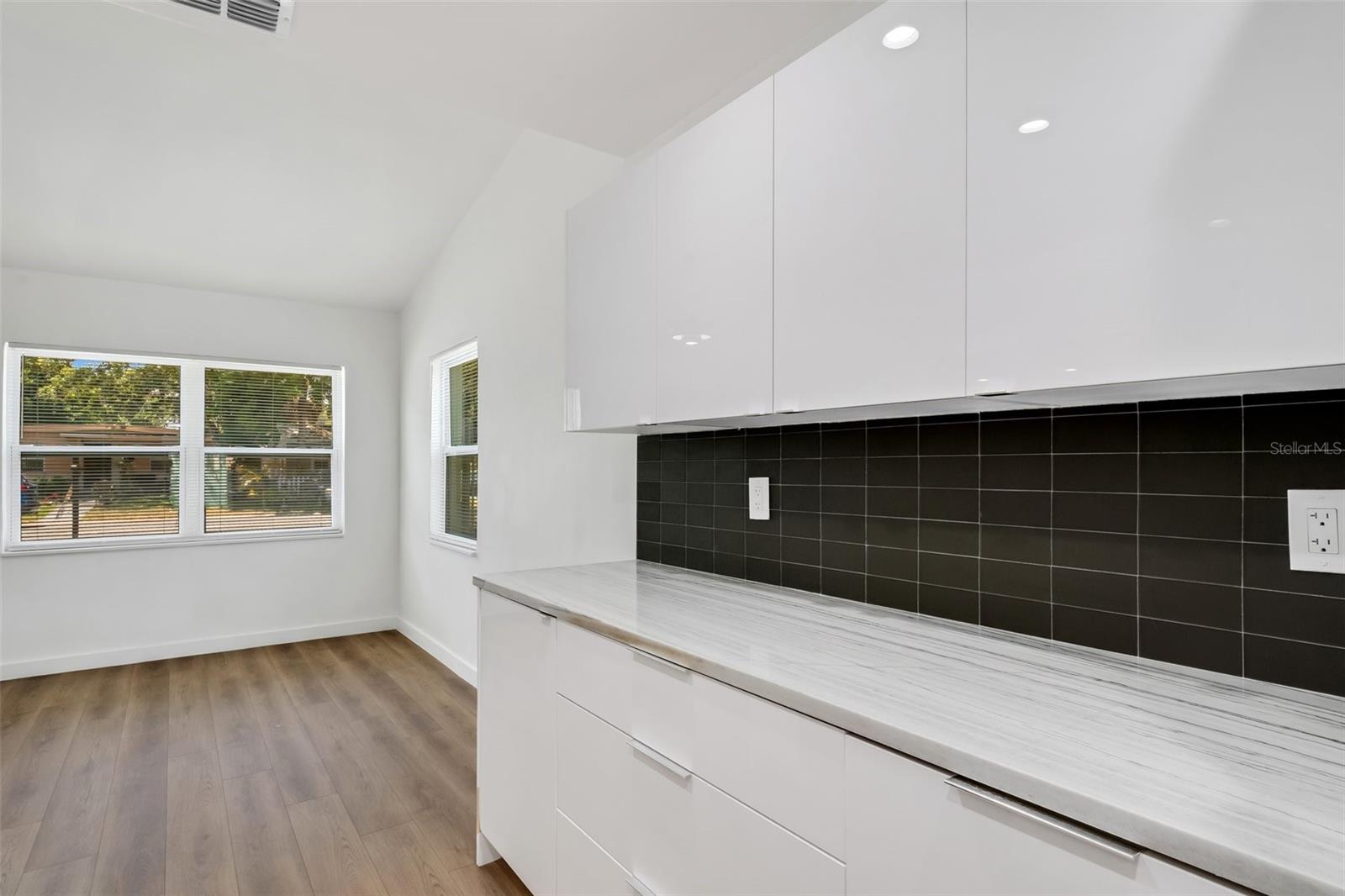 Kitchen Counter area