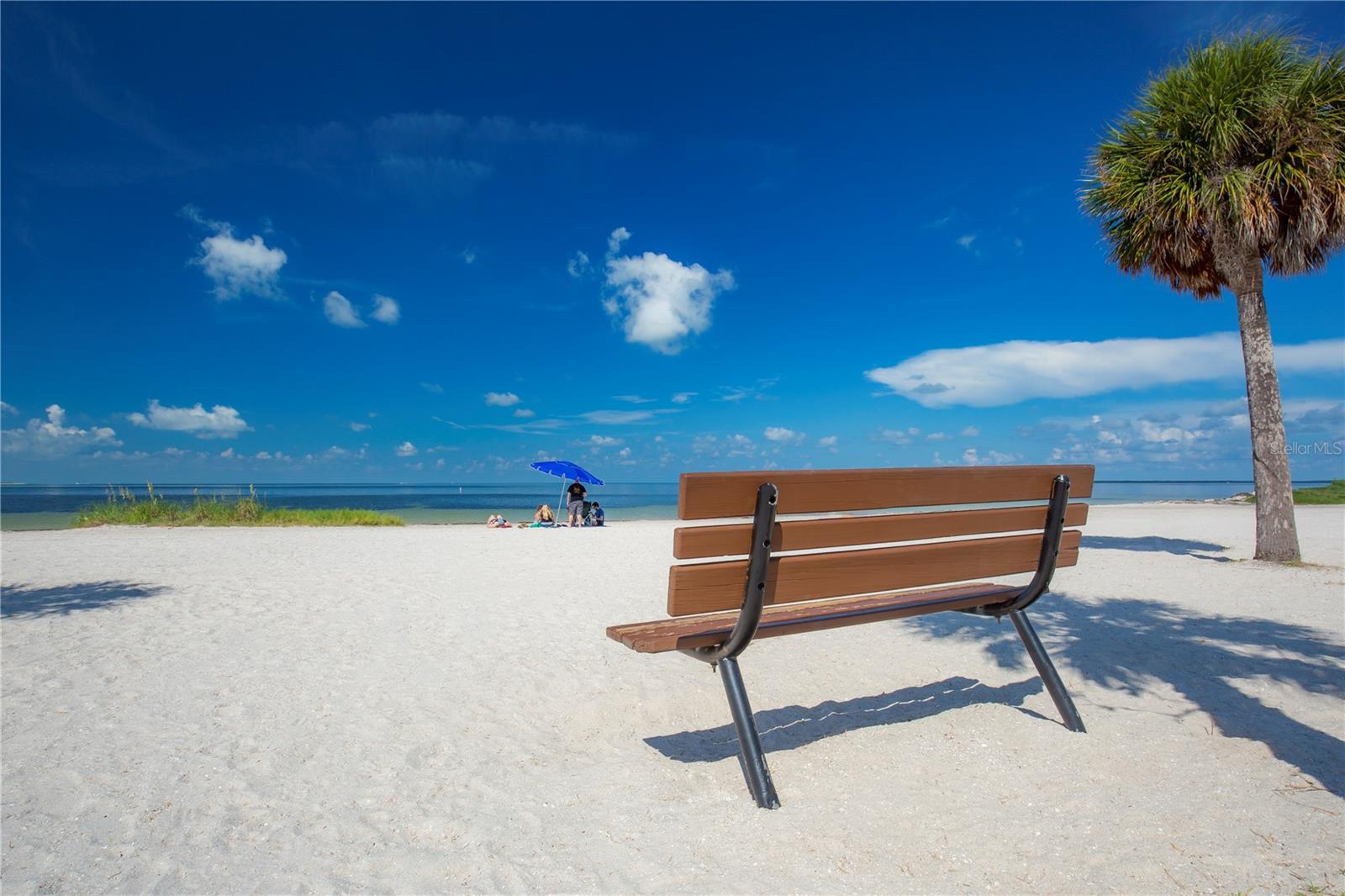 Fred Howard Park Beach minutes away.