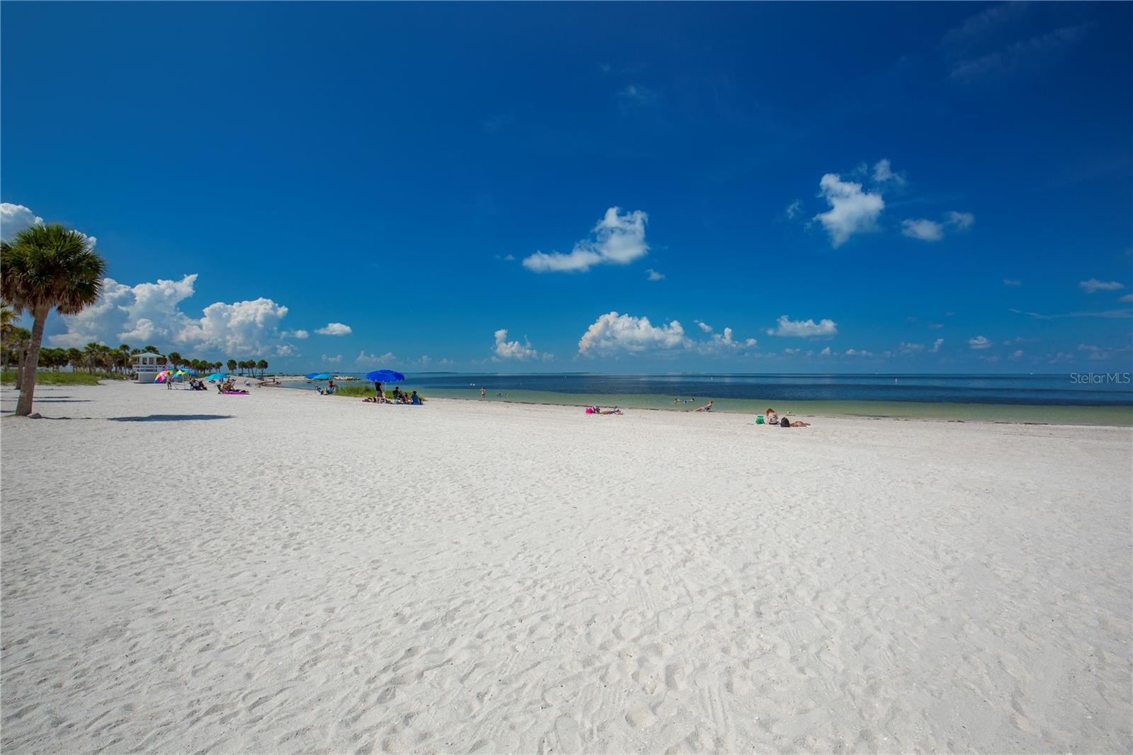 Fred Howard Park Beach is just a bike ride away.