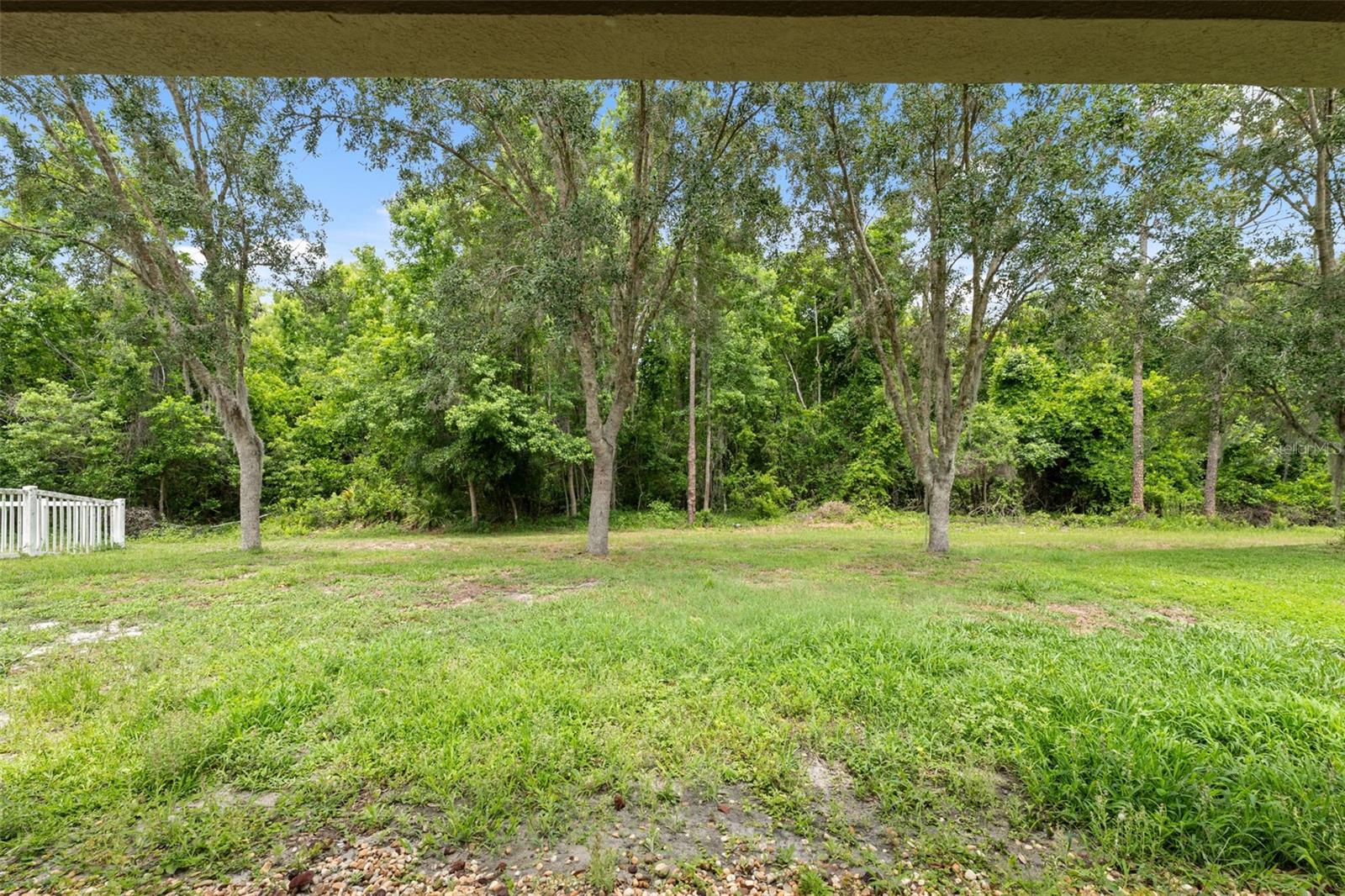 G5096979