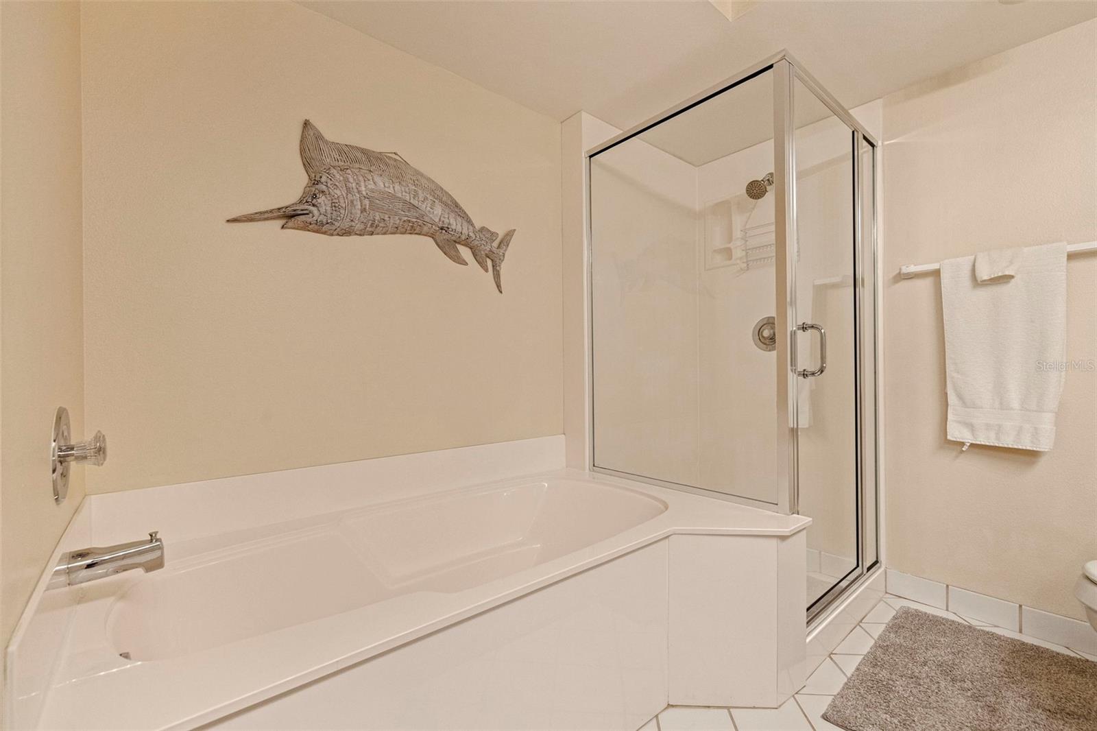Soaking tub and separate shower in master bath