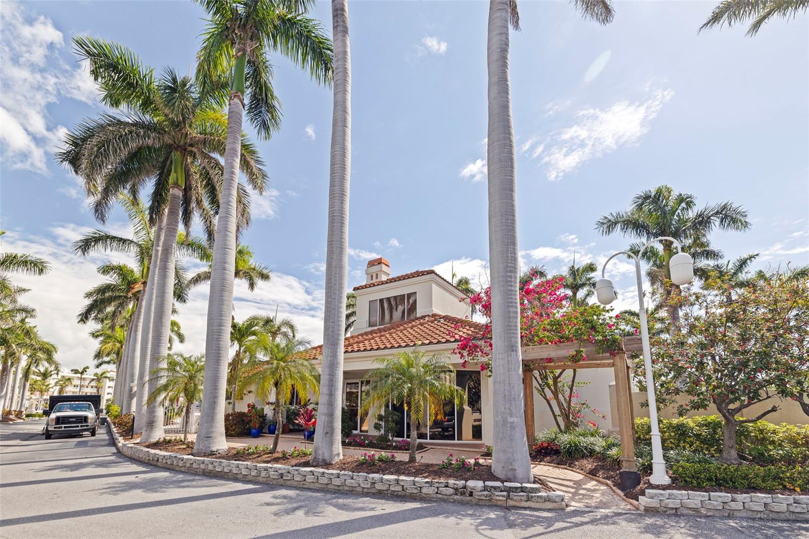 Tropical entry