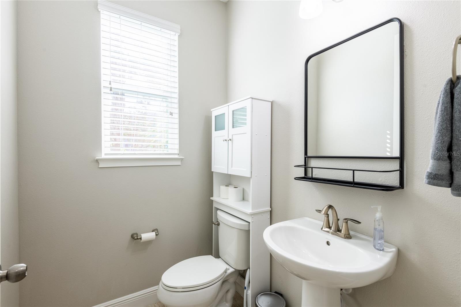 Downstairs half bathroom