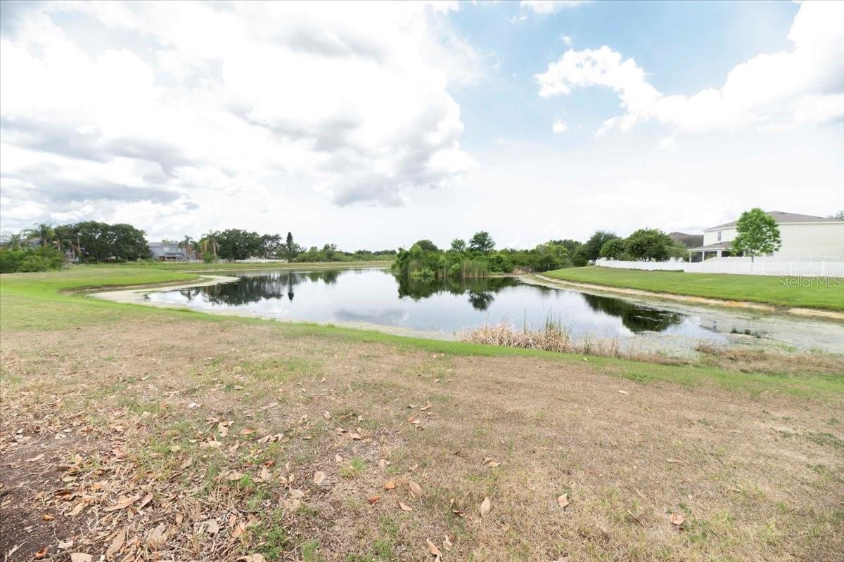 Pond