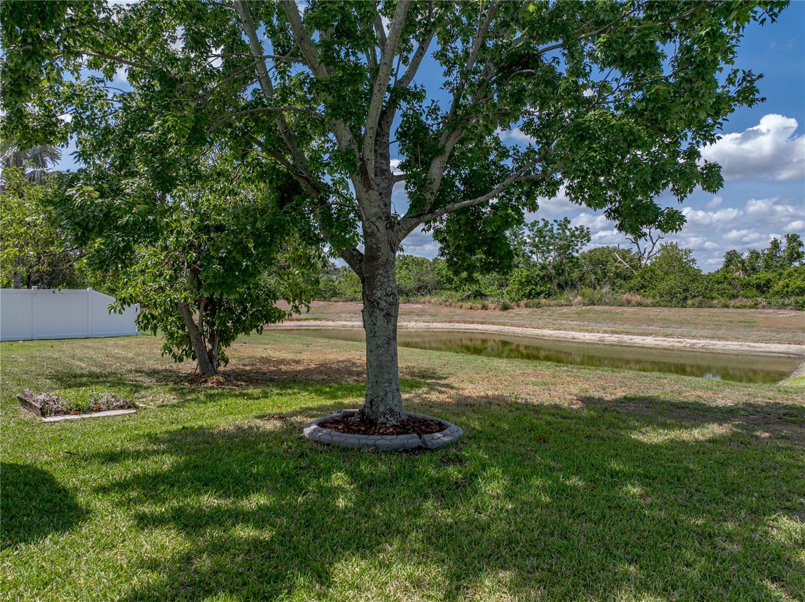View of back yard