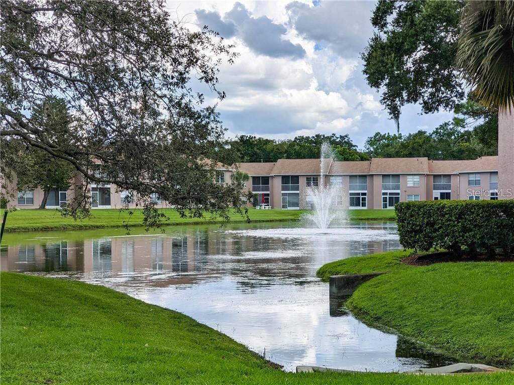 Pond by the clubhouse