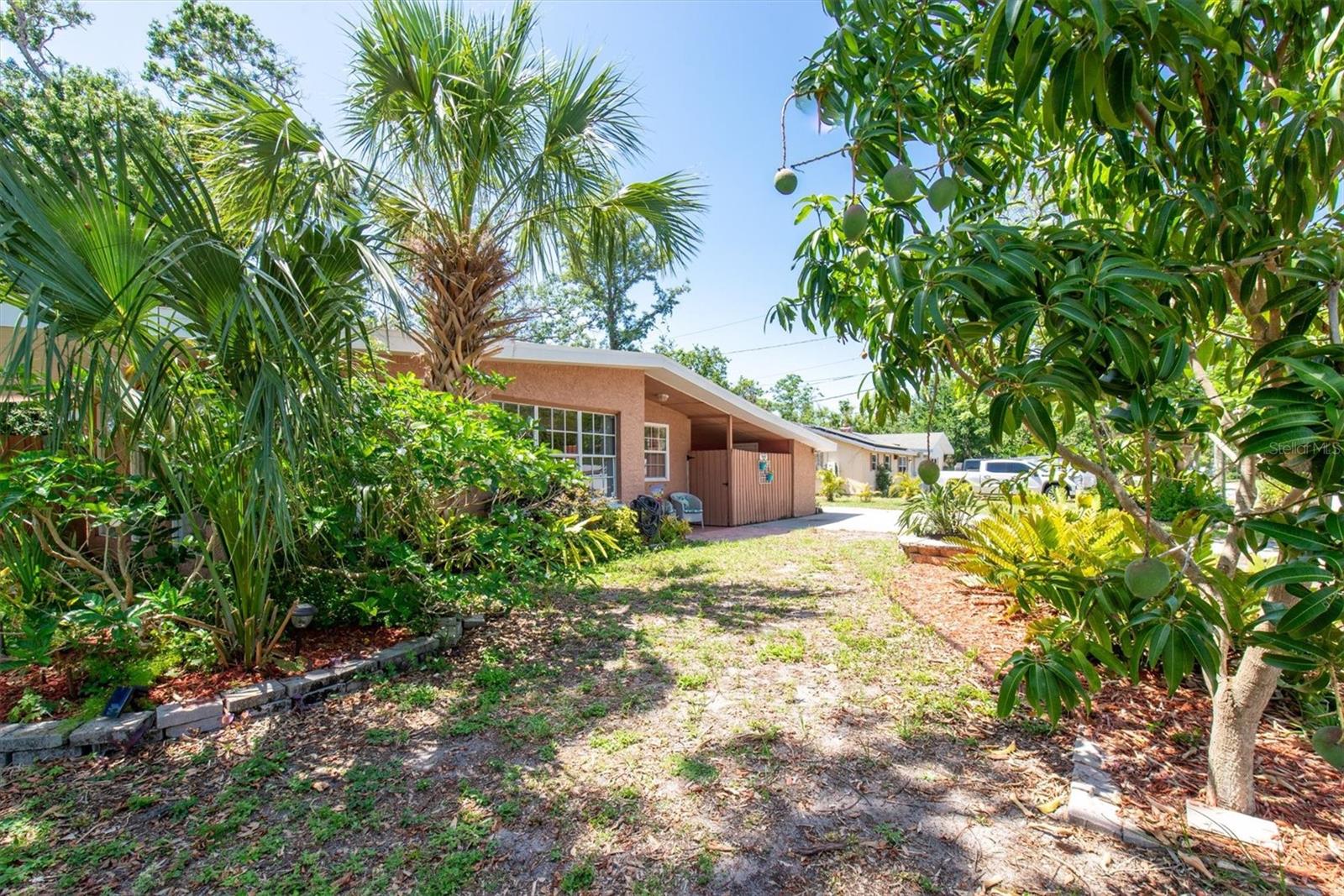 front yard