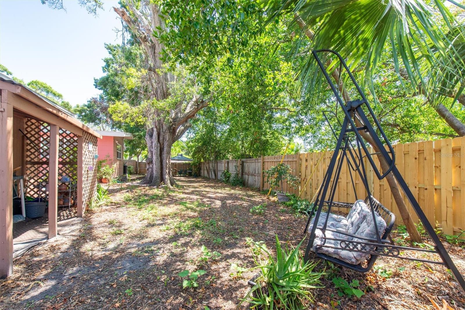 backyard