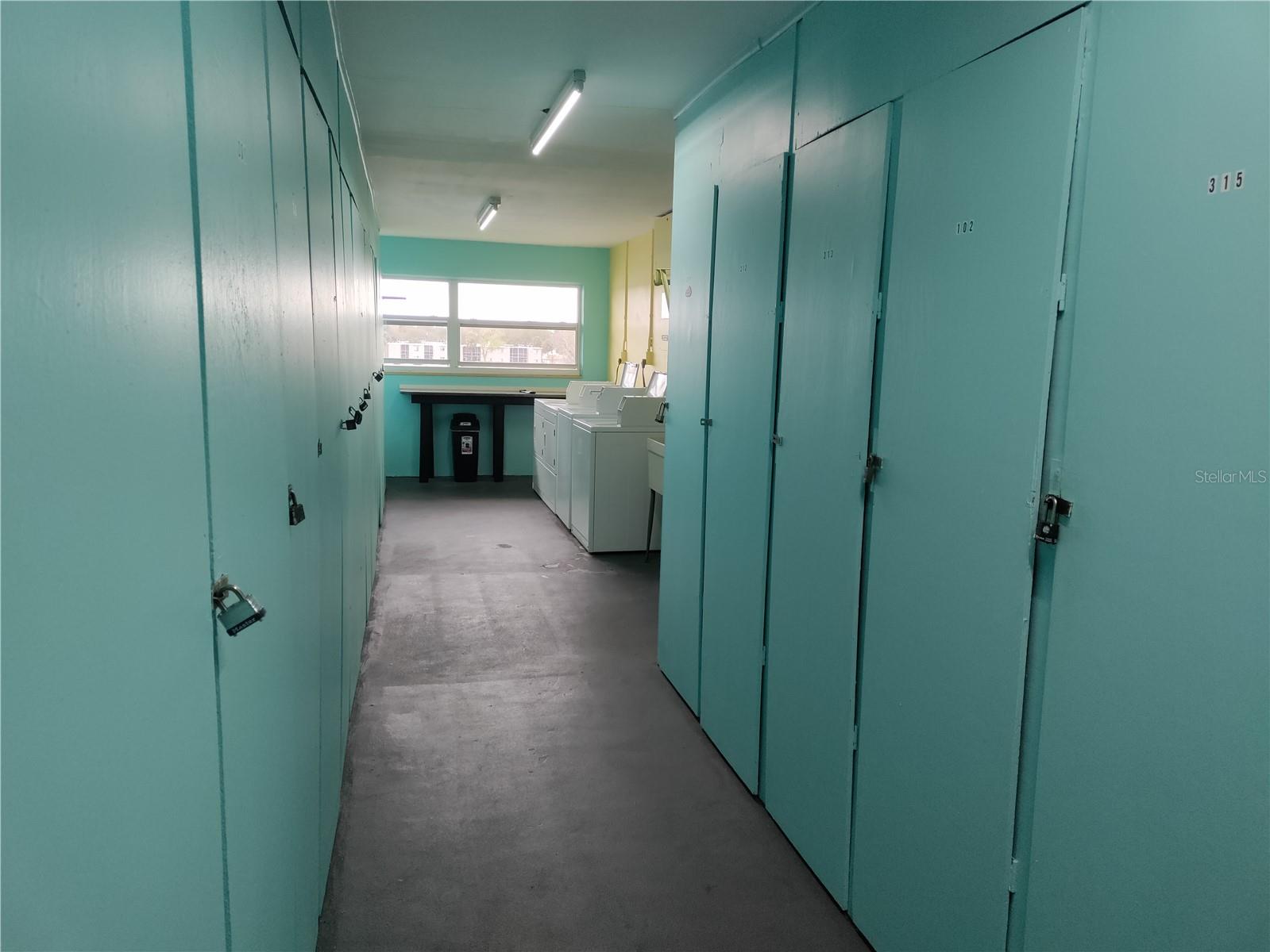 Storage locker in the laundry room
