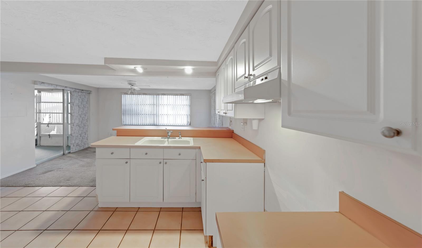 Kitchen - Left View