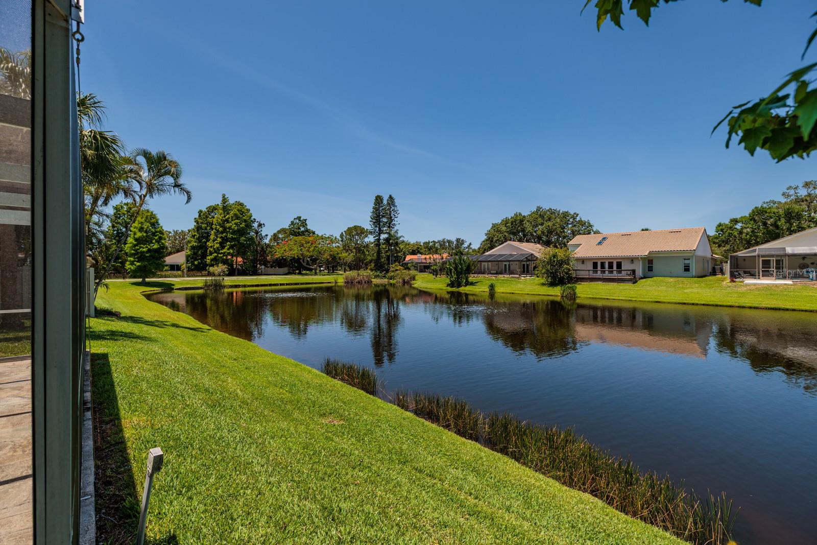 Lake and Nature Views
