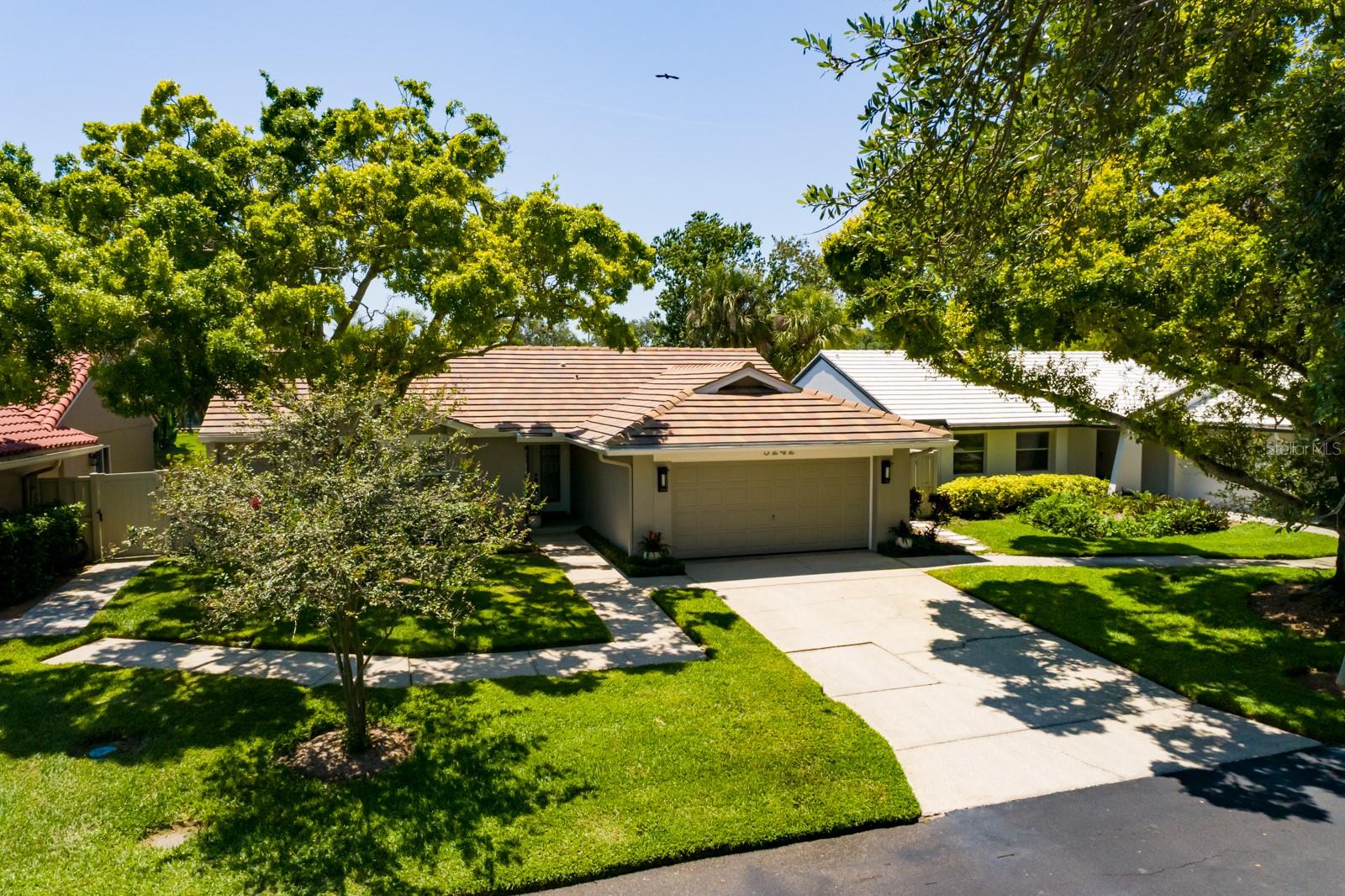 New Roof 2018.