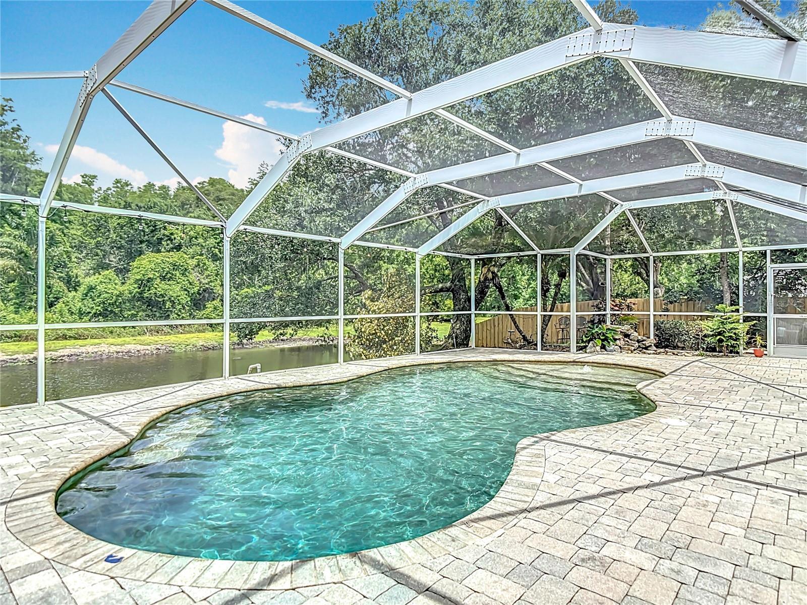 Outdoor Living and Pool Area - Pond & Conservation Views