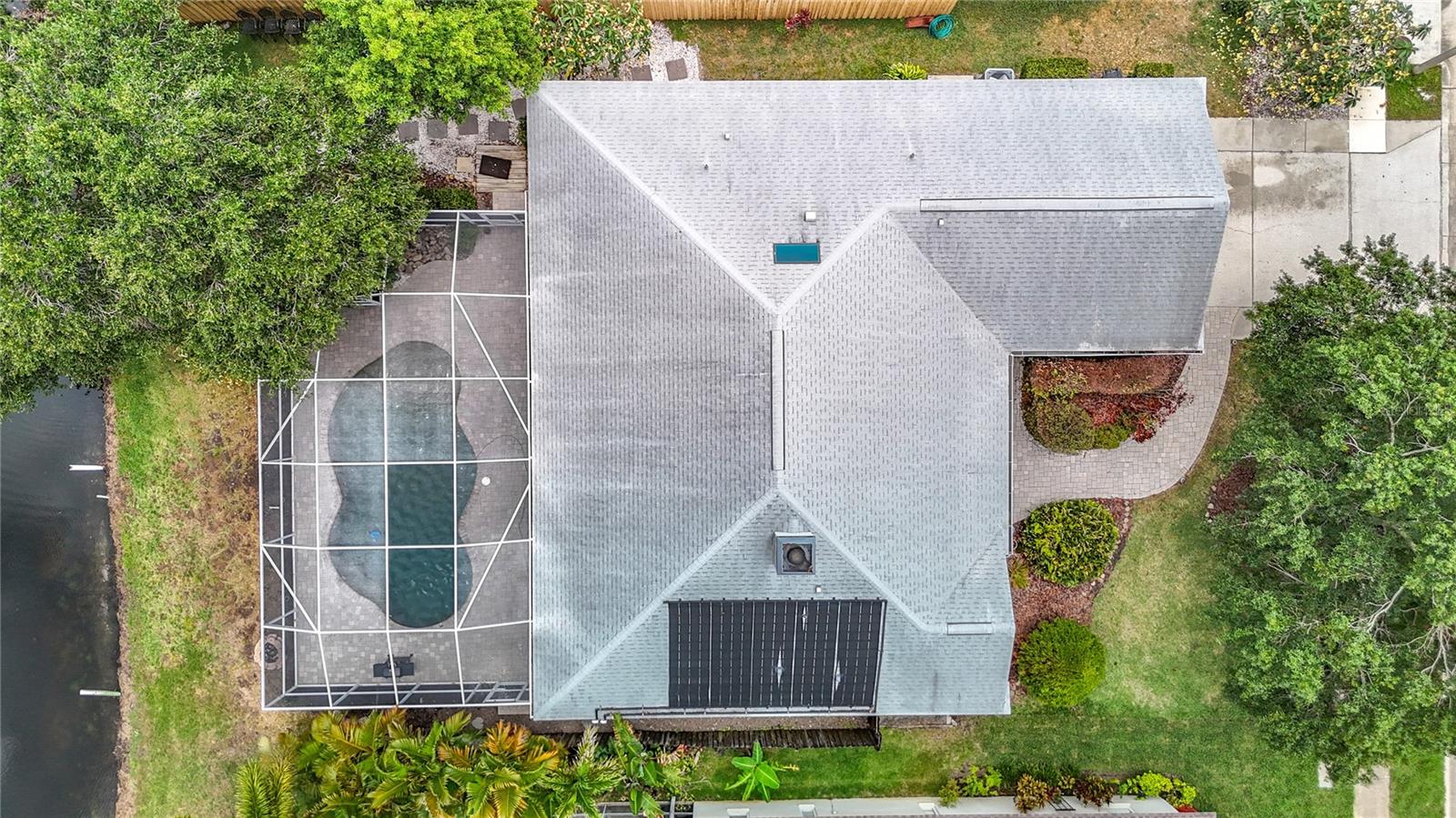 Bird's Eye