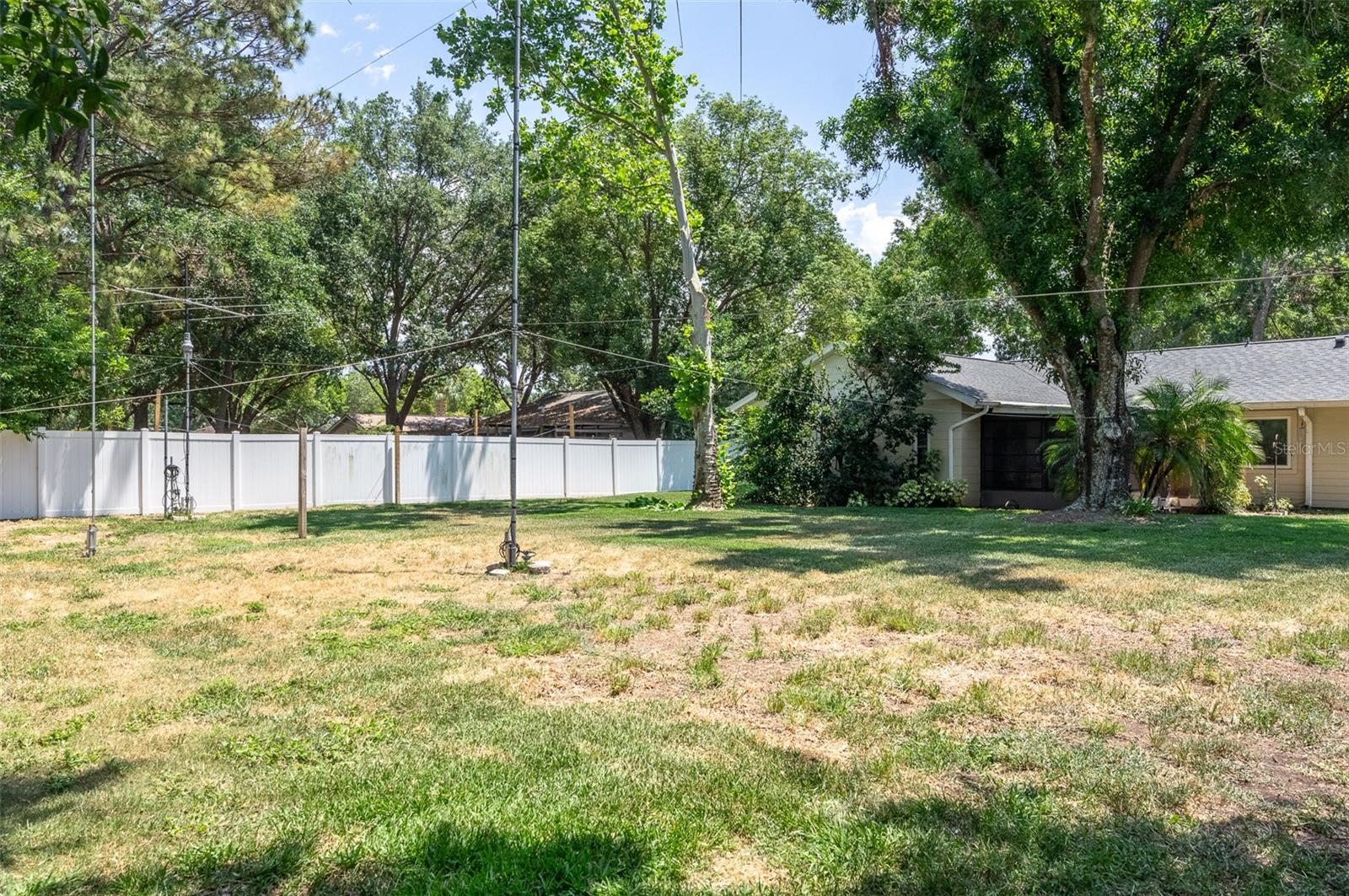 Large and spacious backyard