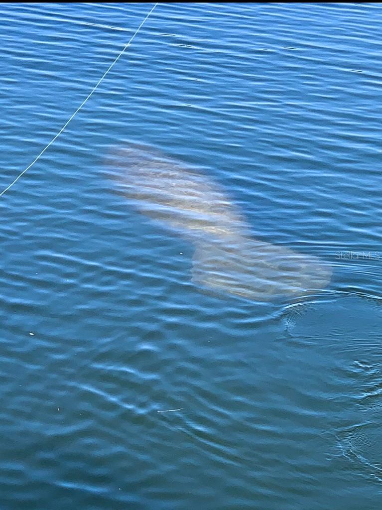 N6138879