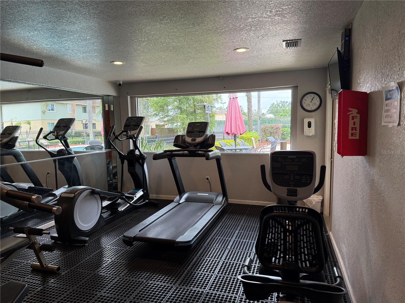 GYM