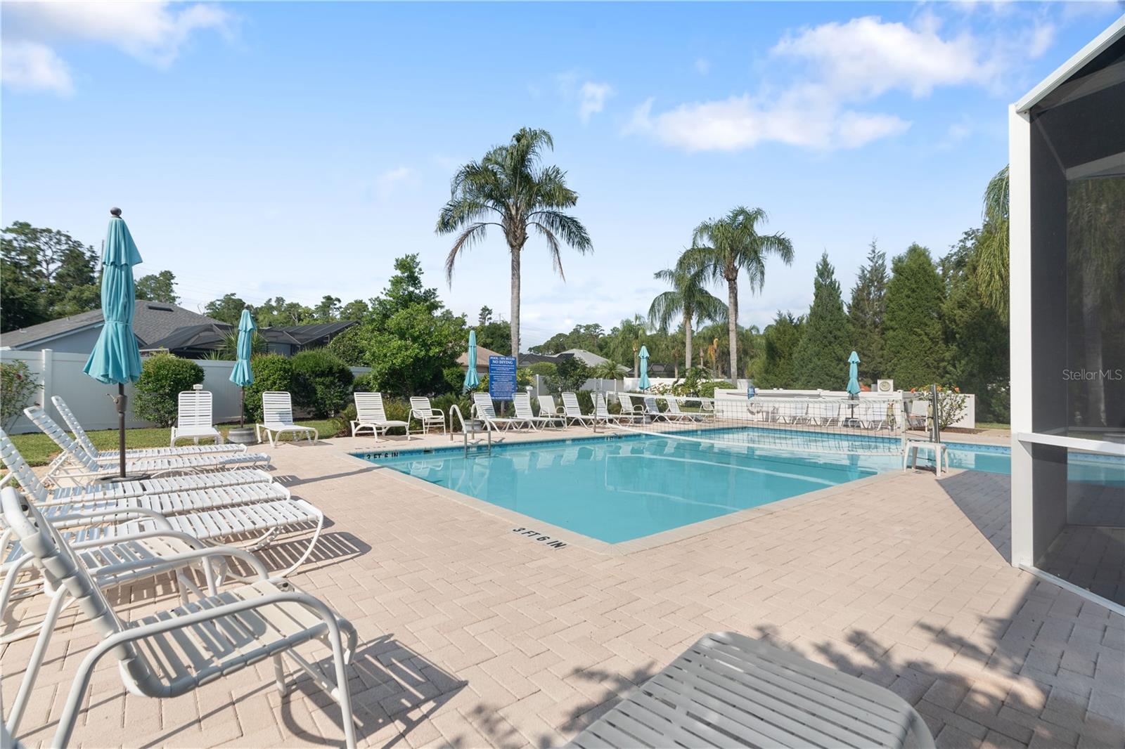 Solar heated pool