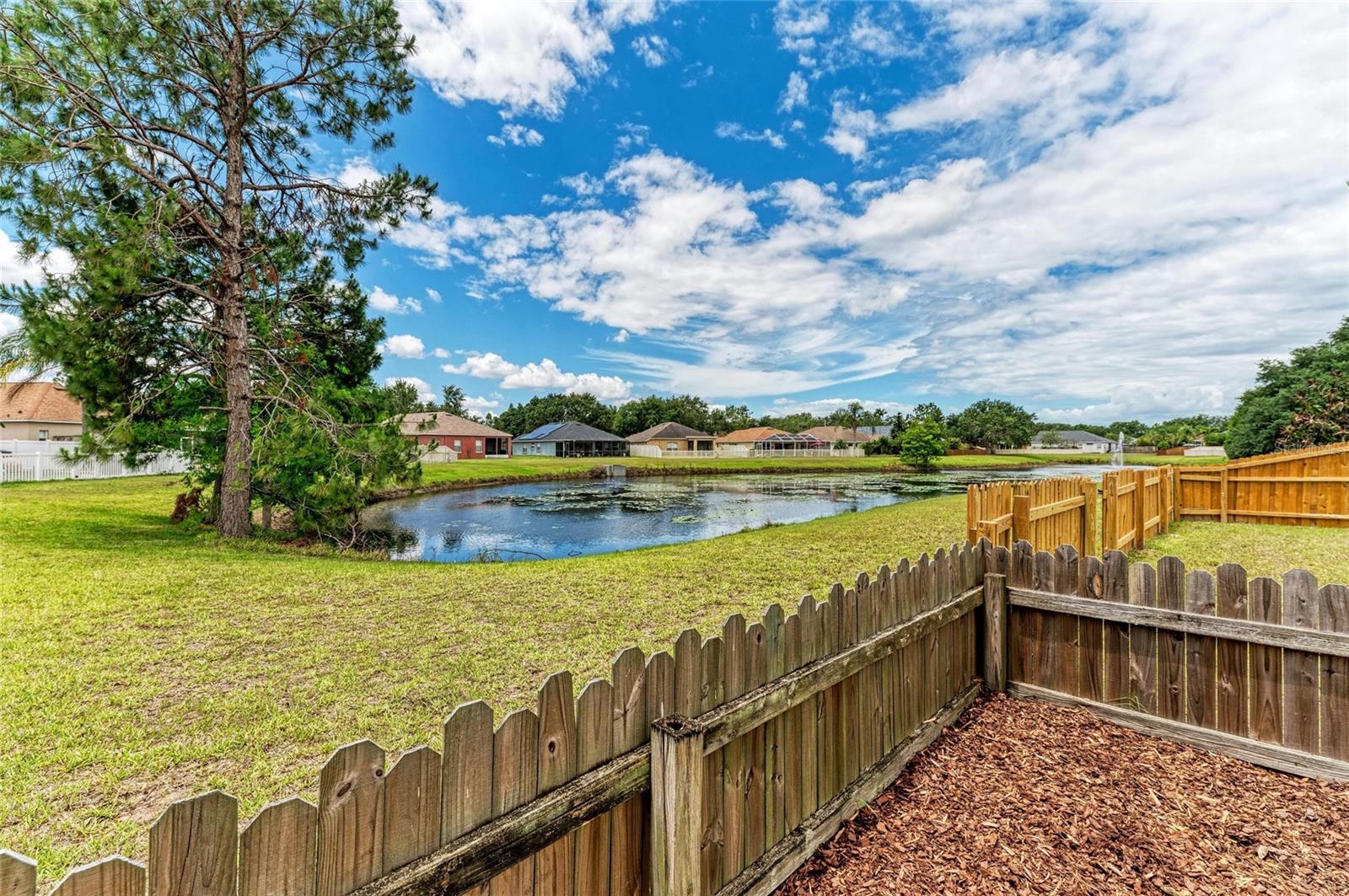 Tranquil pond view
