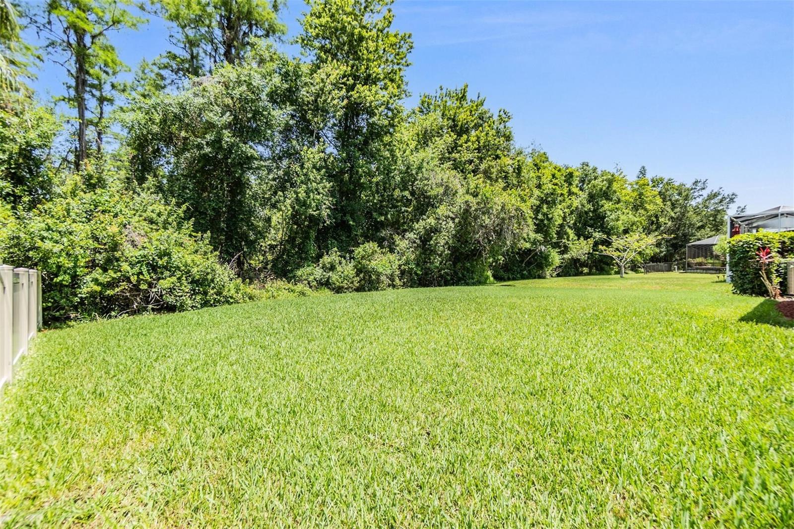 Greenspace just outside your lanai