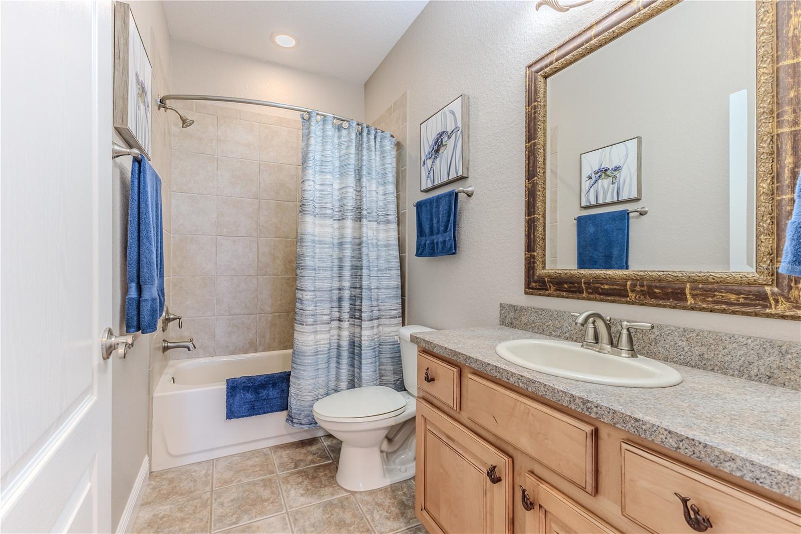 Guest Tub/Shower Bathroom