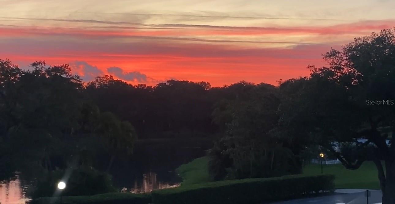 Sunrise view from Balcony overlooking pond