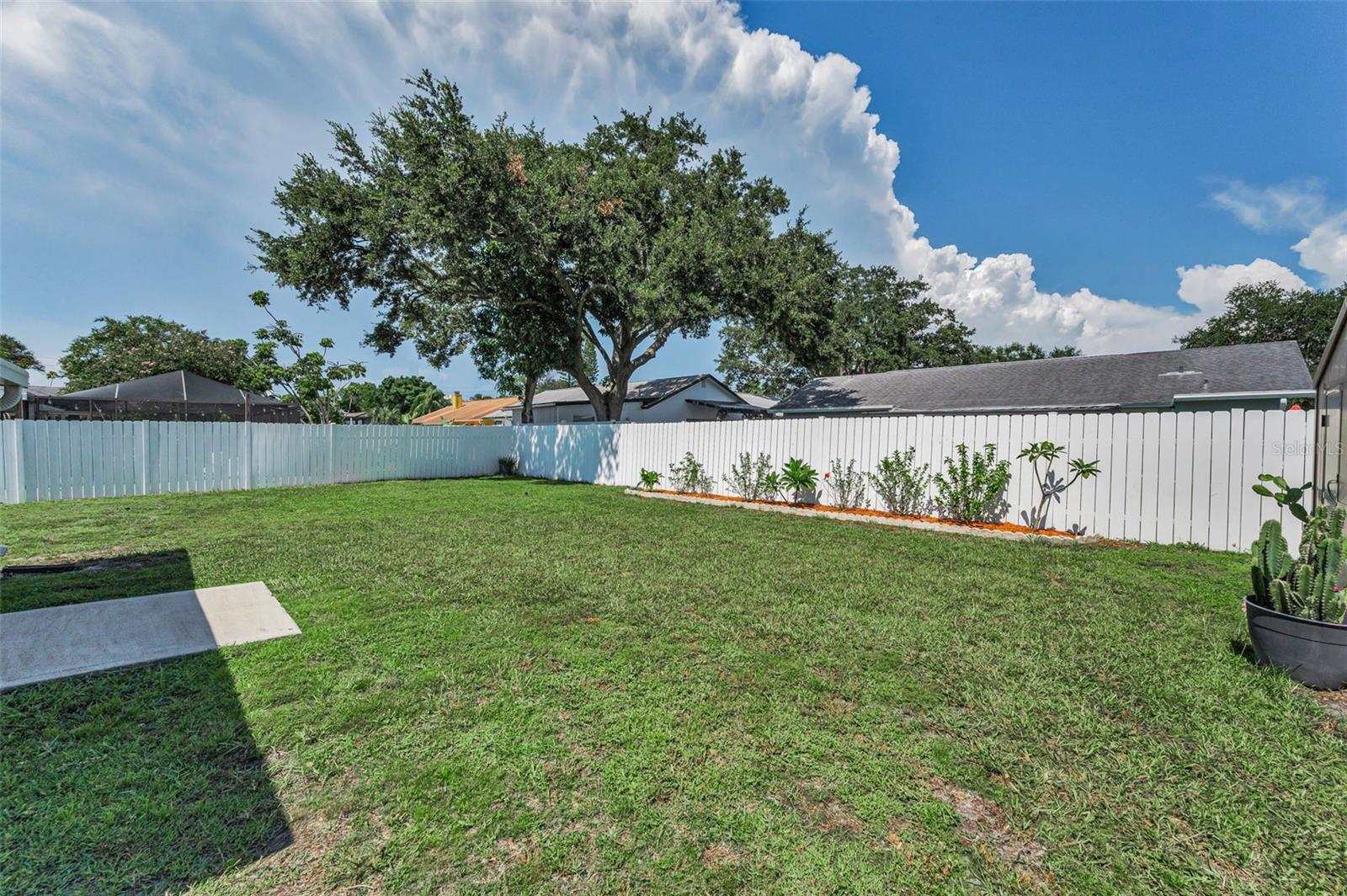 Large Backyard