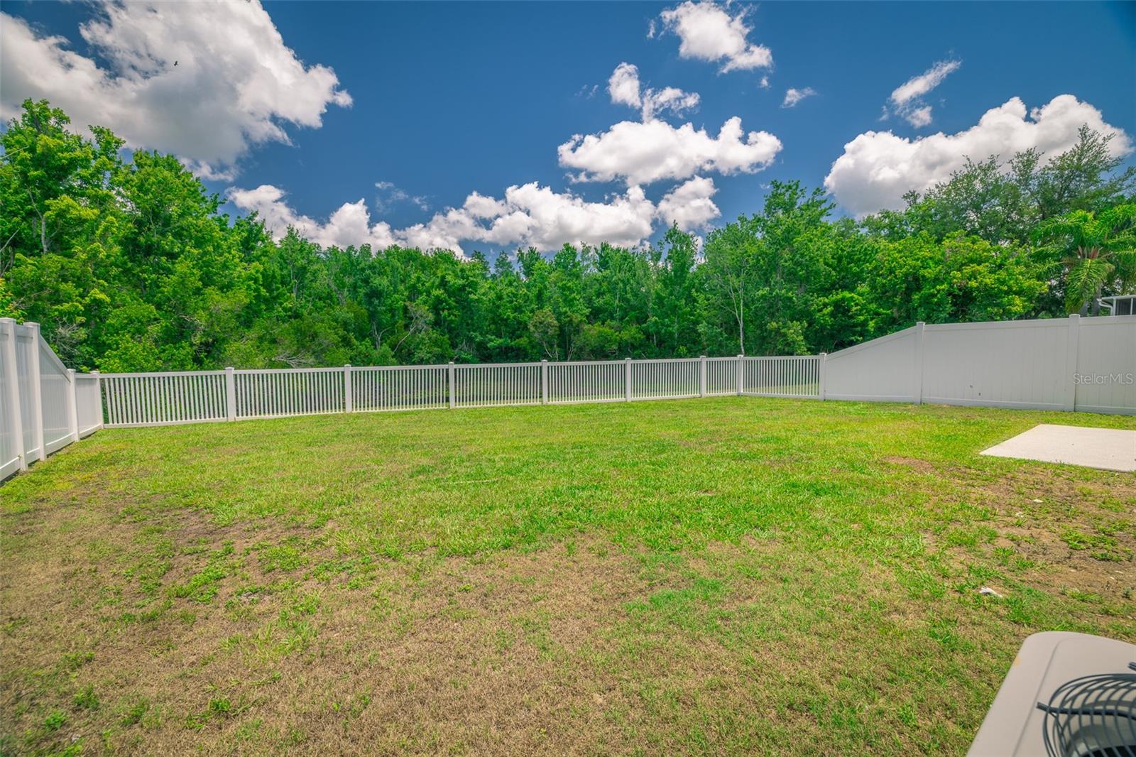 Backyard View