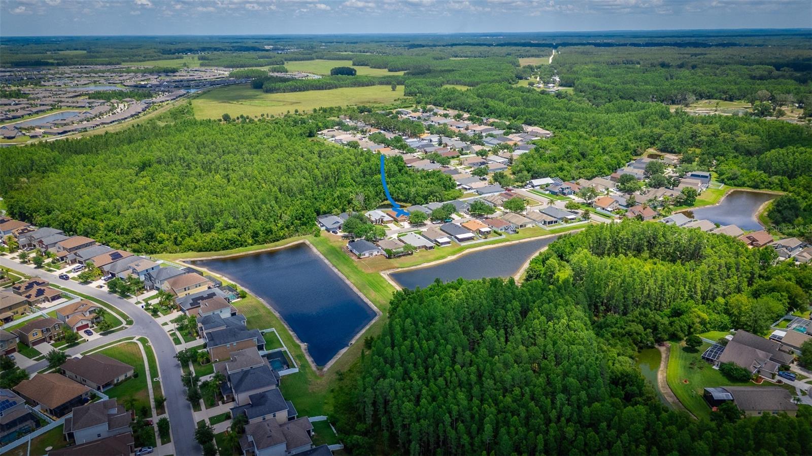 Ariel View