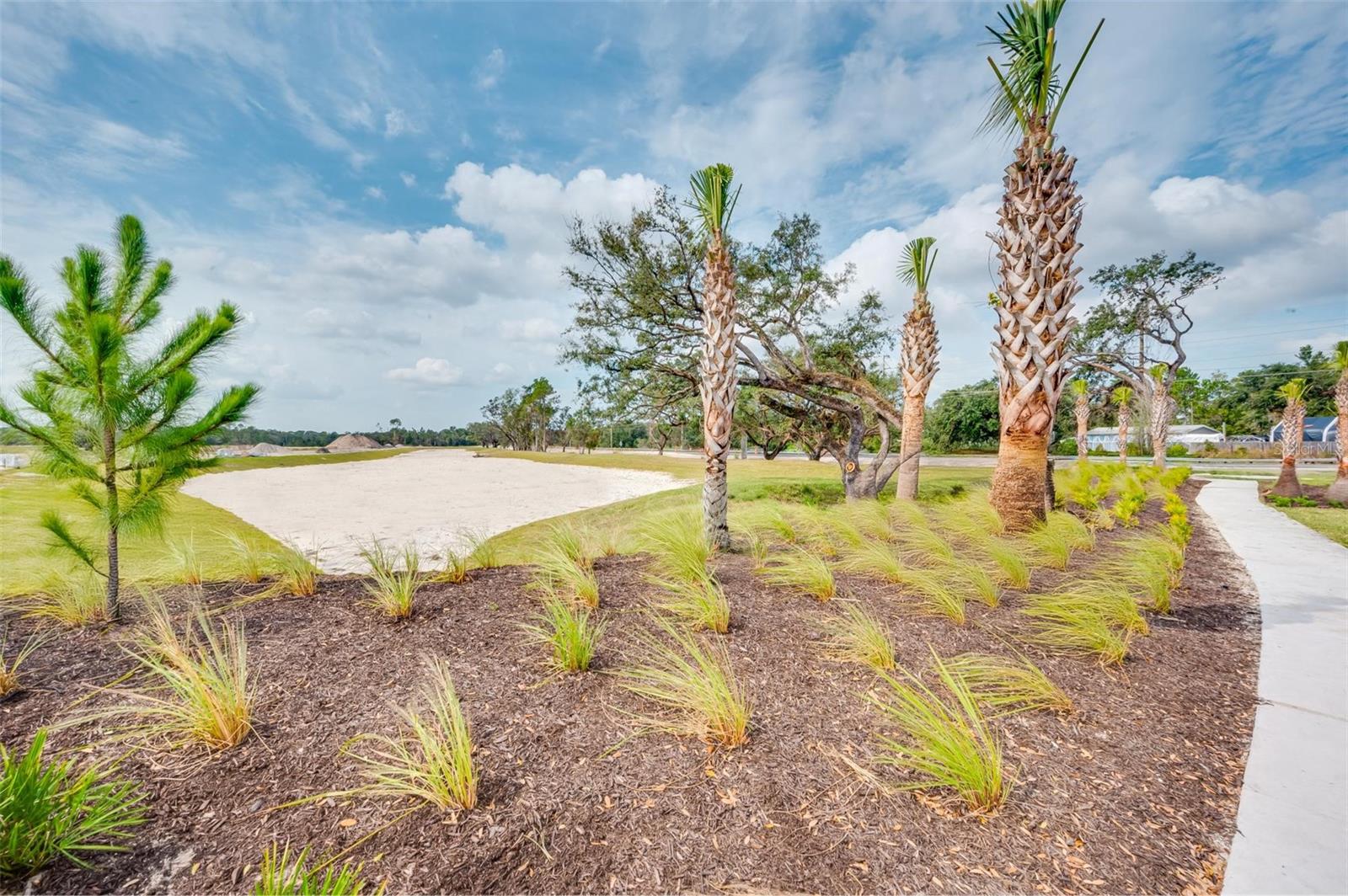 Palm Wind Community