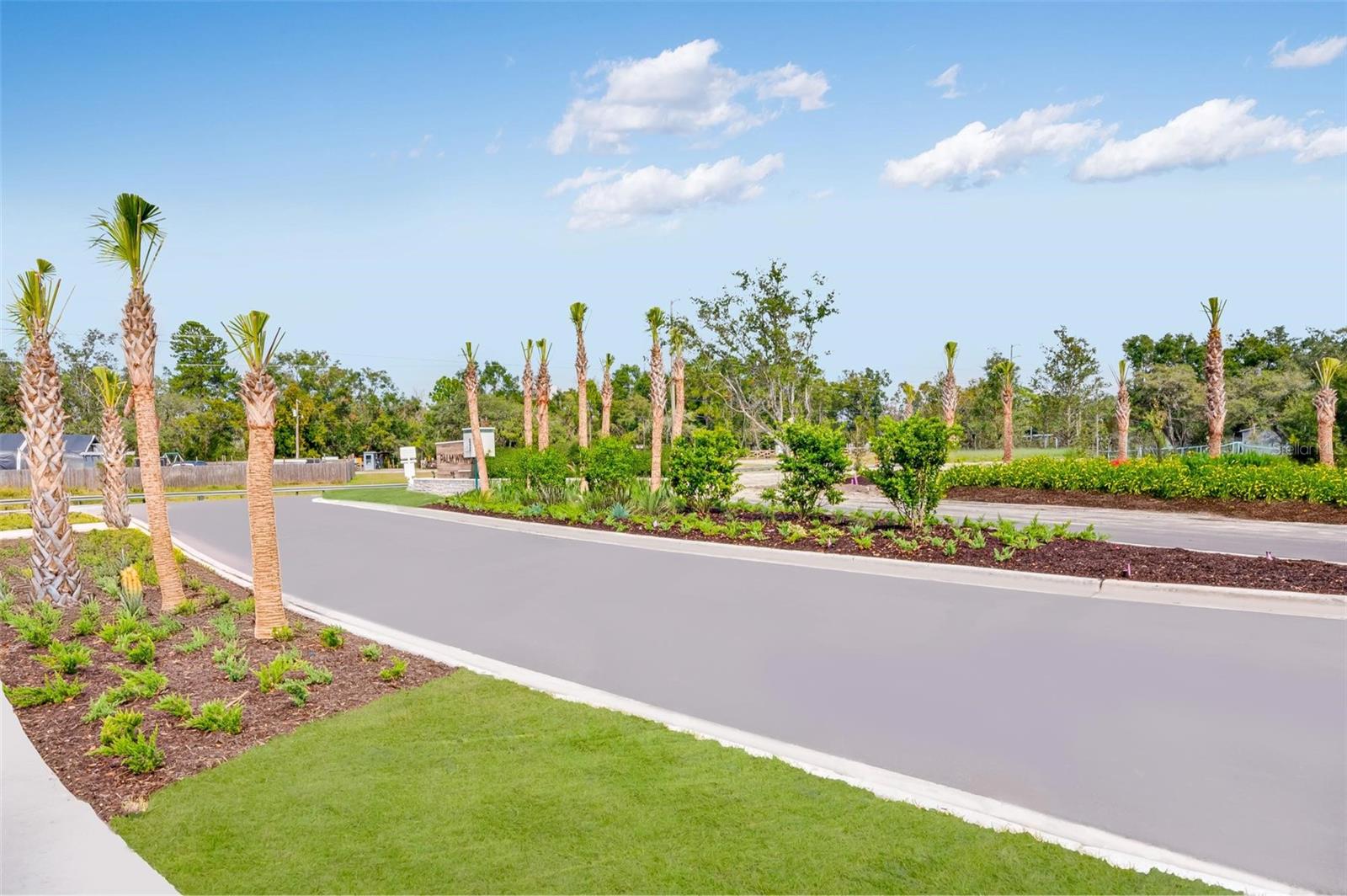 Palm Wind Community