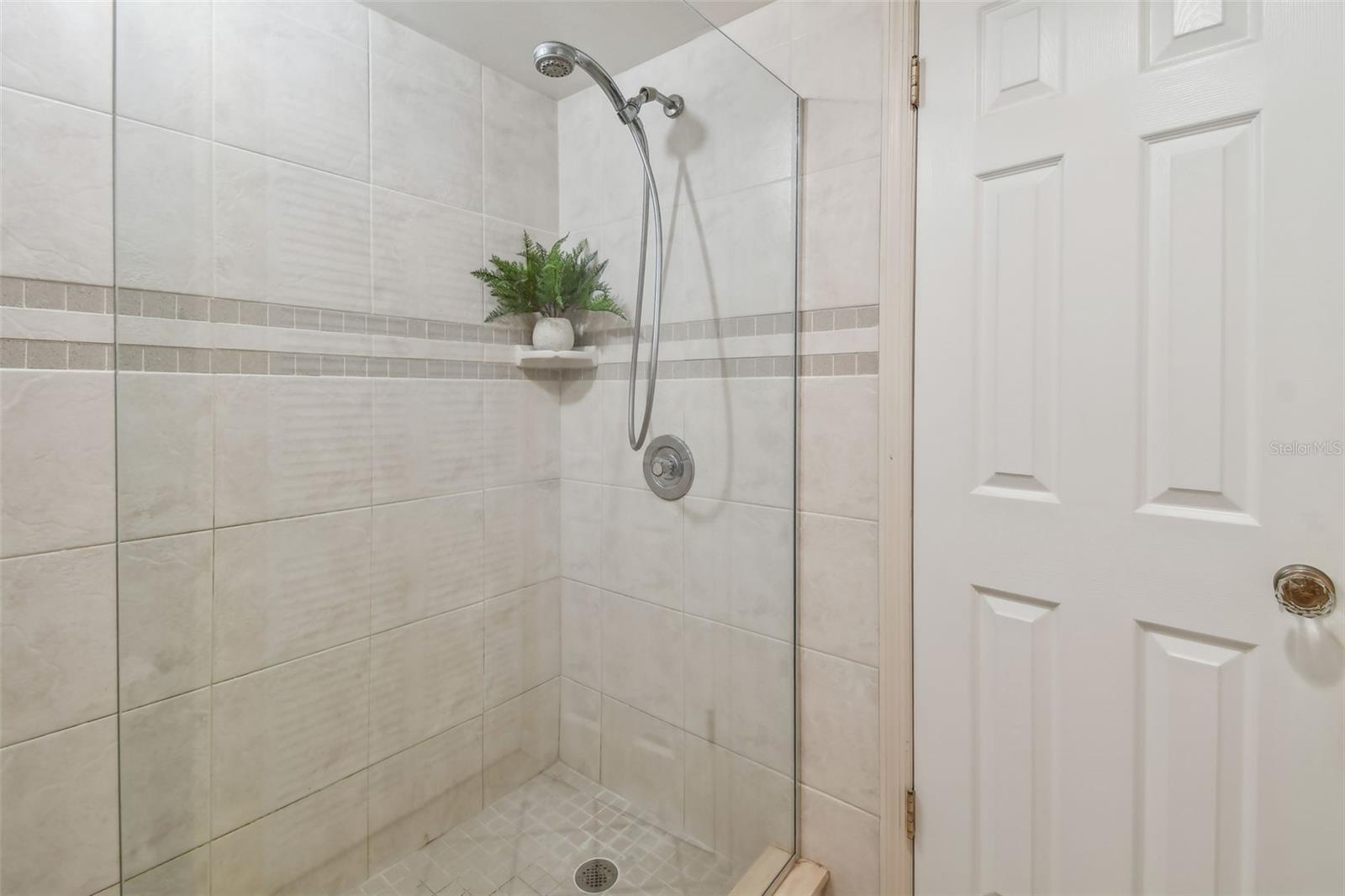 Primary Shower