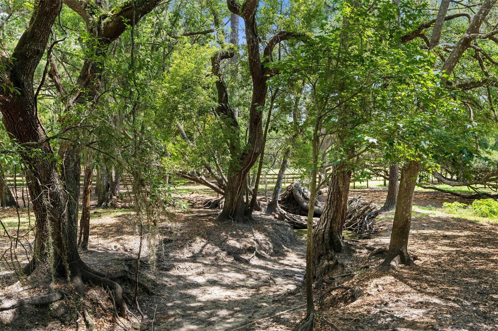 W7875519