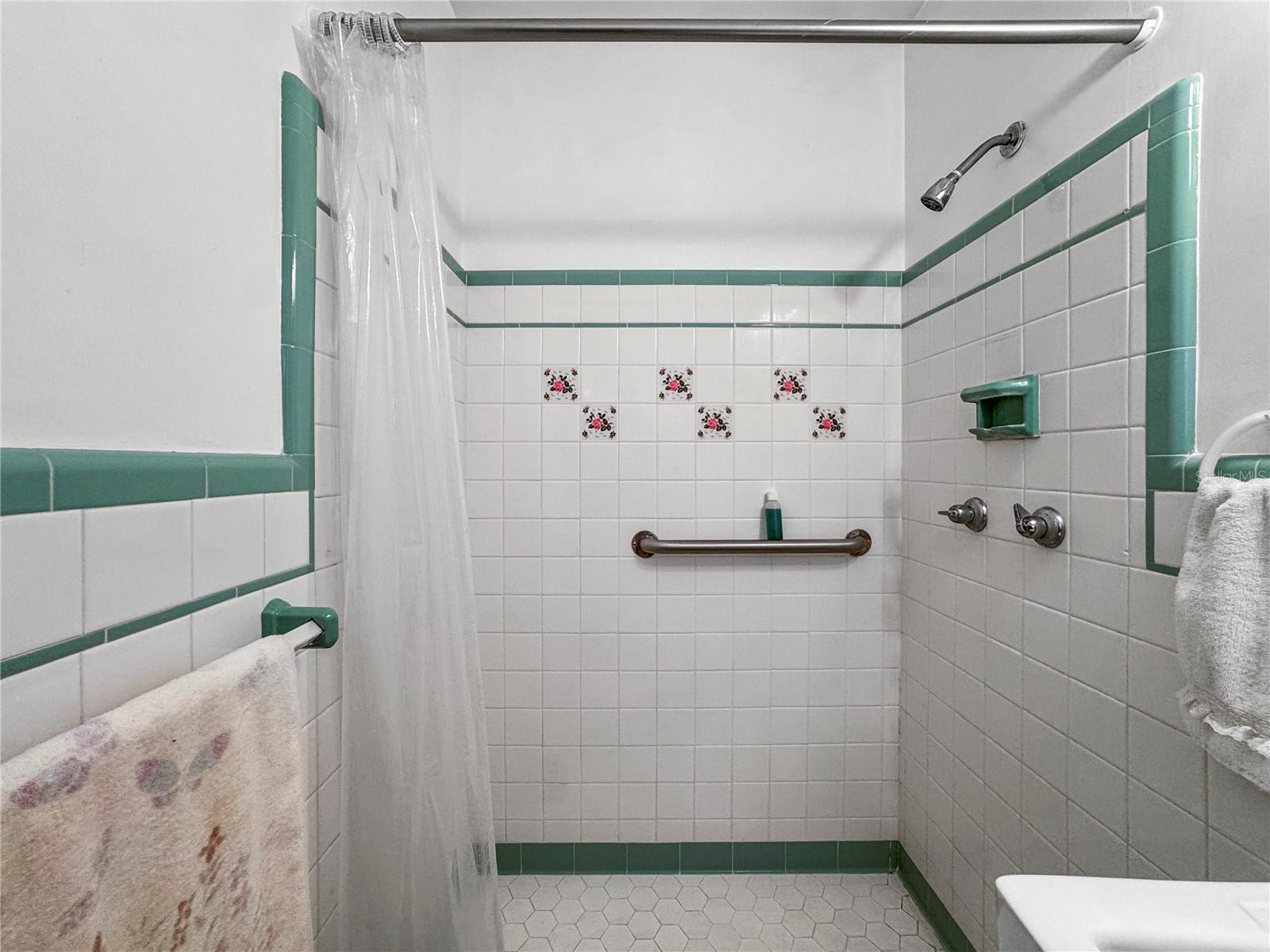 Primary bath 2