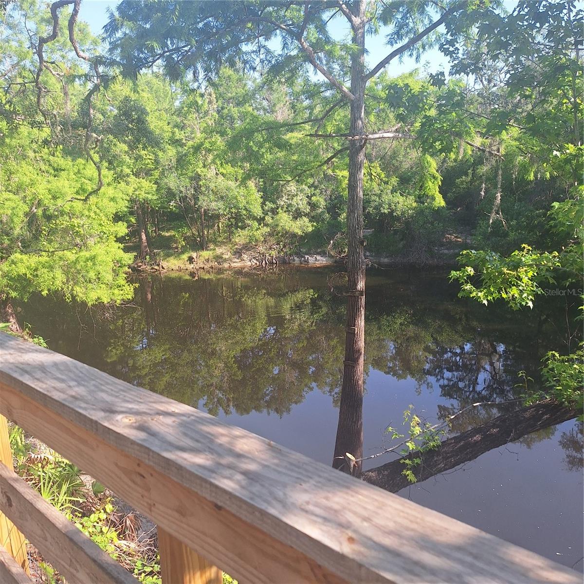 River View