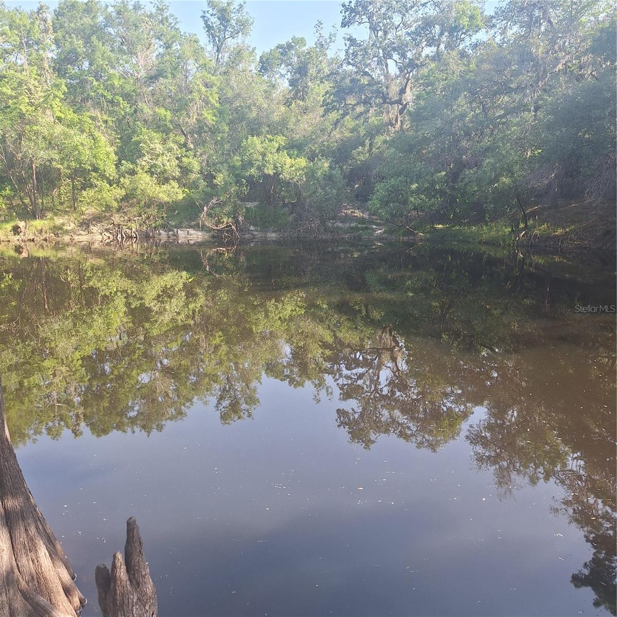 River View