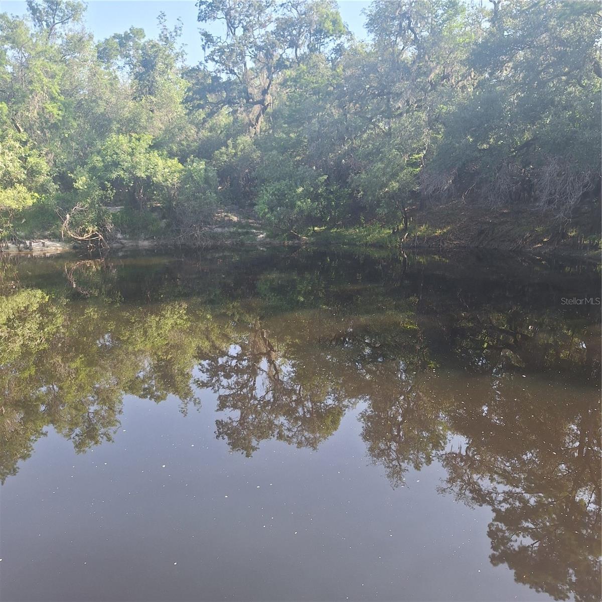 River view