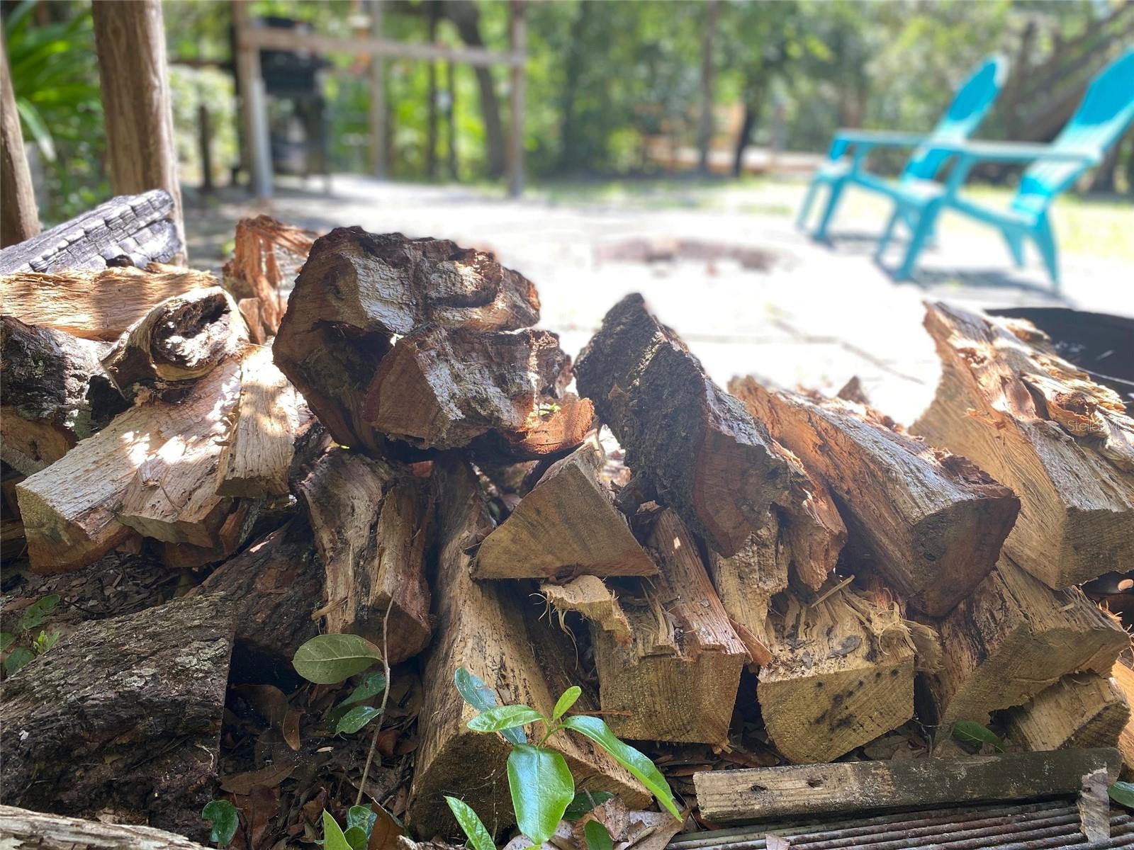 Firewood for the firepit