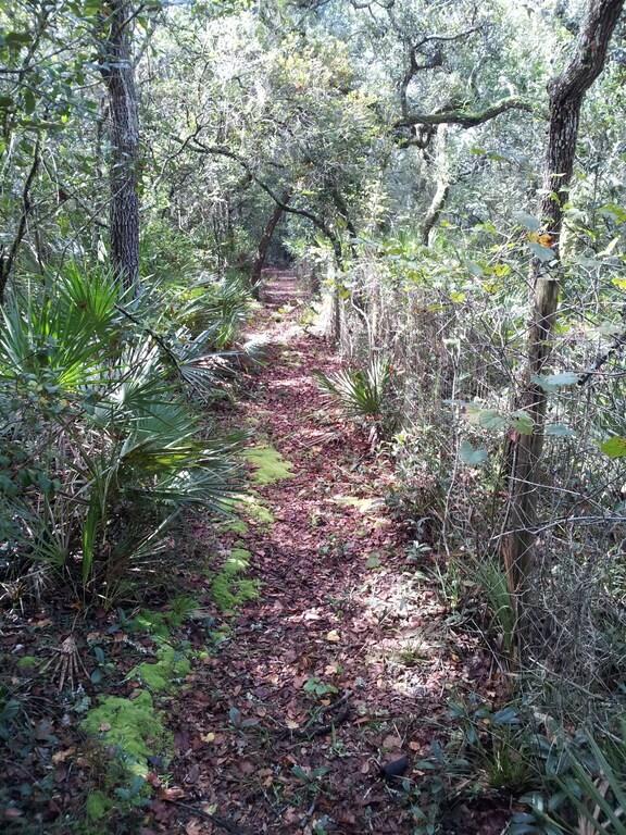 Trails