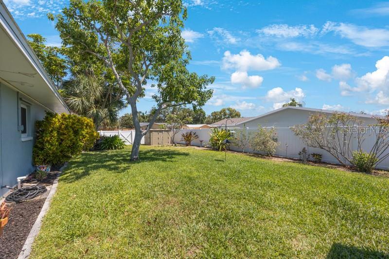 Side yard