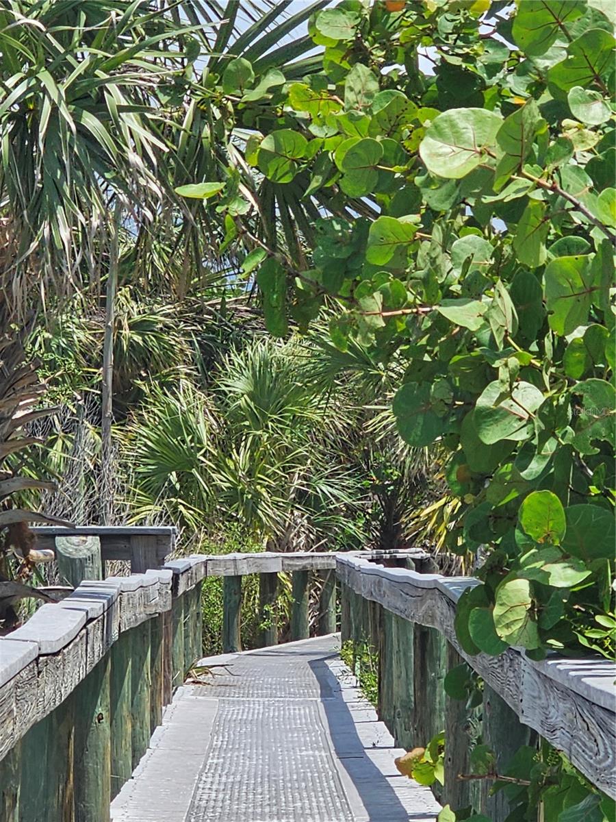BOARDWALK TO BEACH