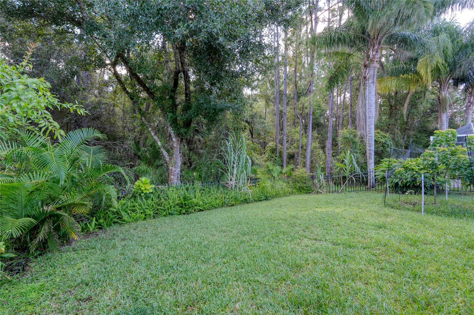 Enjoy the Conservation views from your fully fenced Back and Side yard - no rear neighbors