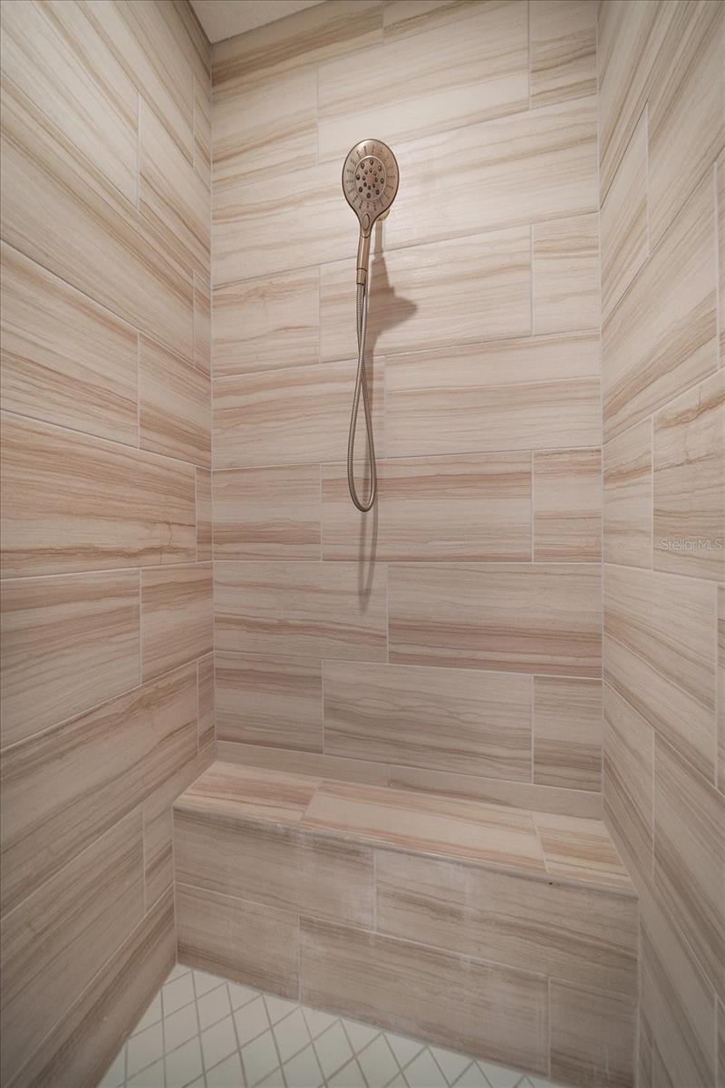 Primary Shower