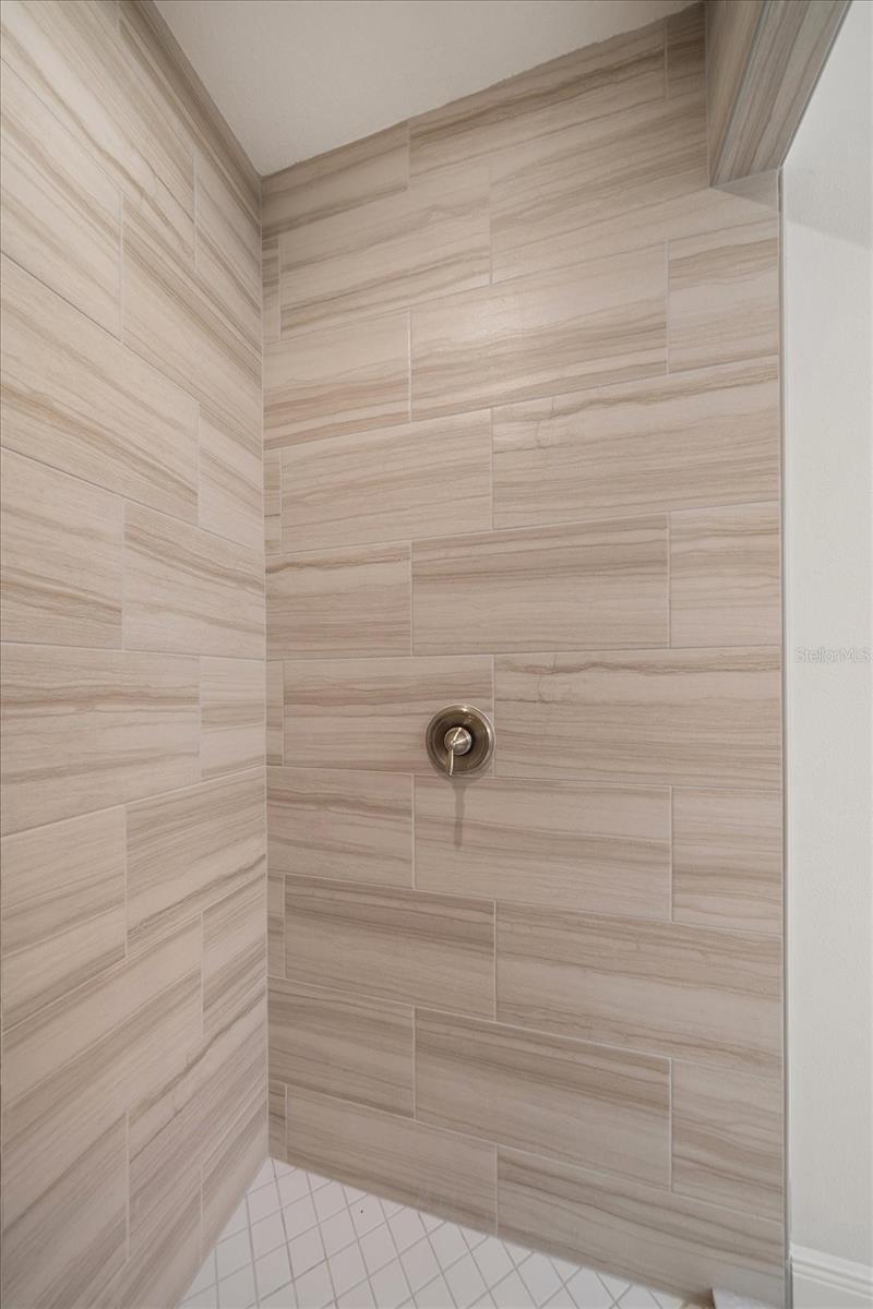 Primary Shower