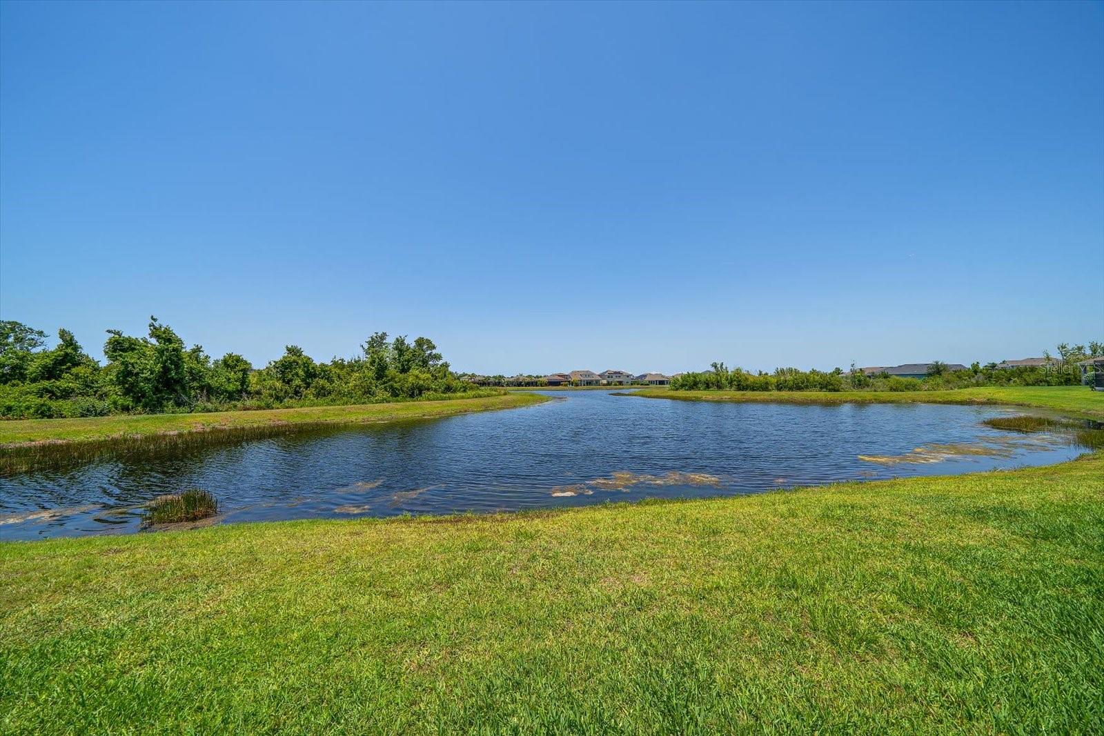 Views of the Pond
