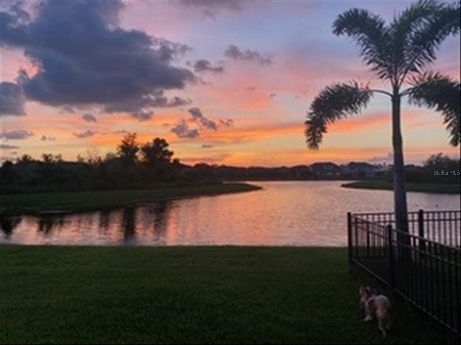 Sunset views from the Backyard