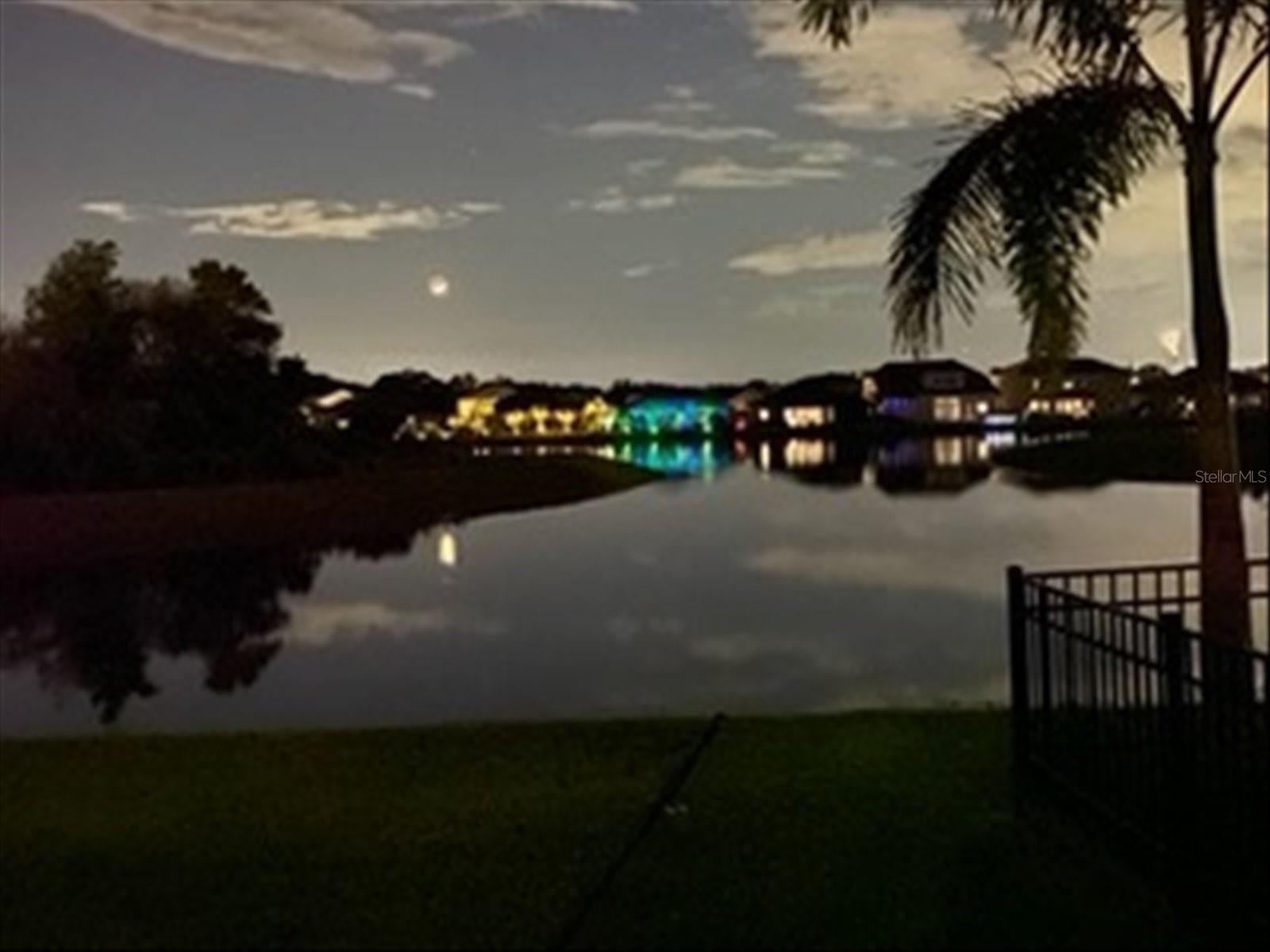 Views from the Backyard