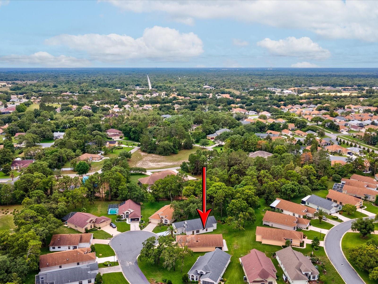 W7875531