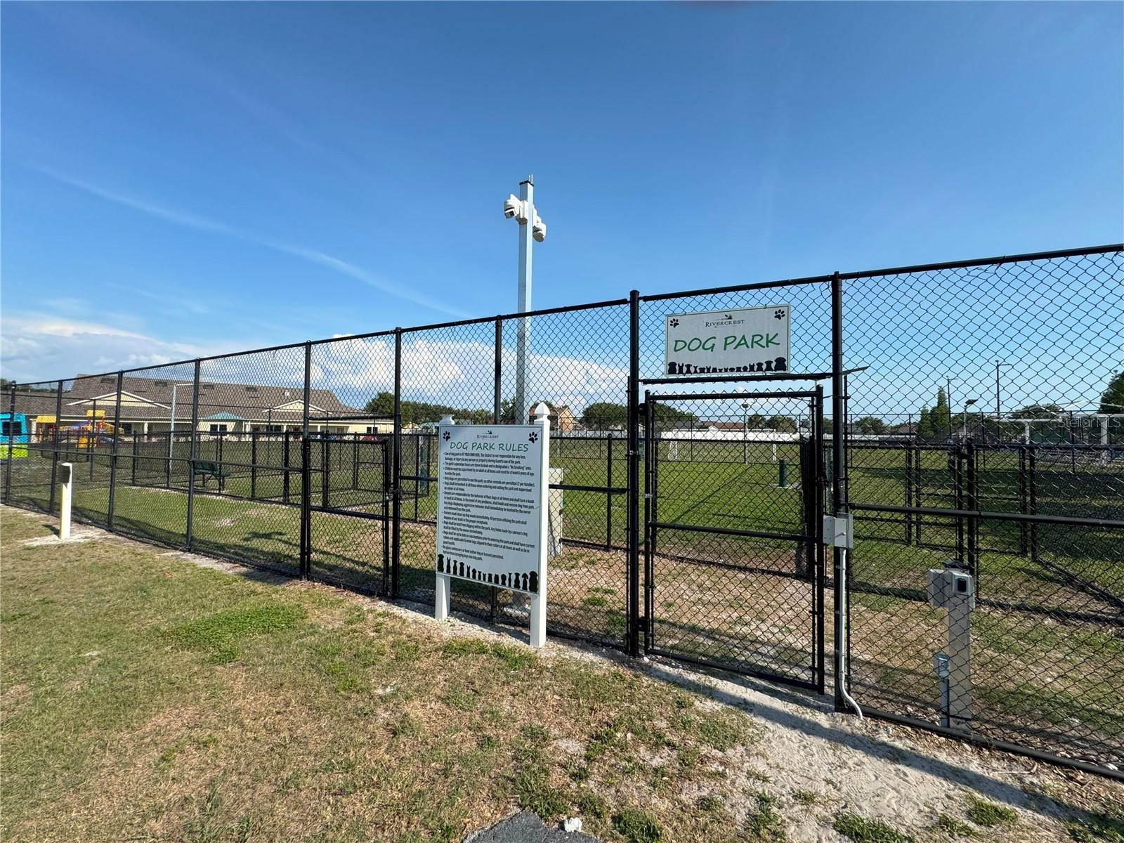 Dog Park